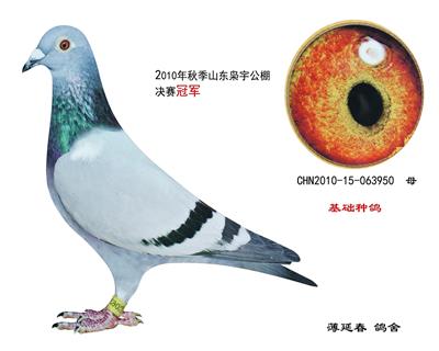 2010��ɽ�����������ھ�