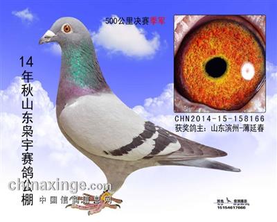 2014��ɽ��������������