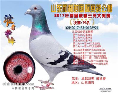 2017��ɽ������ʱ�����Ĺظ����ھ�