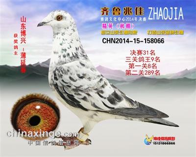 14���׼ѹ������ظ���9��