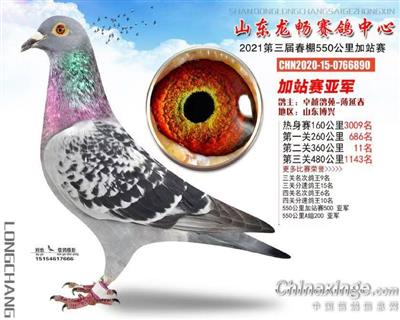 2021�����������ǿ���Ǿ�