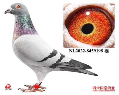 ղķʿ*��������456