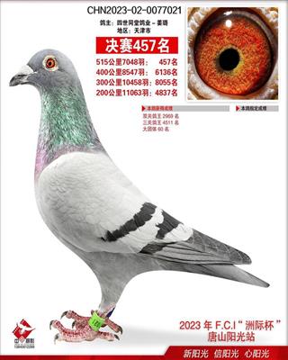 23����ɽ����������457λ