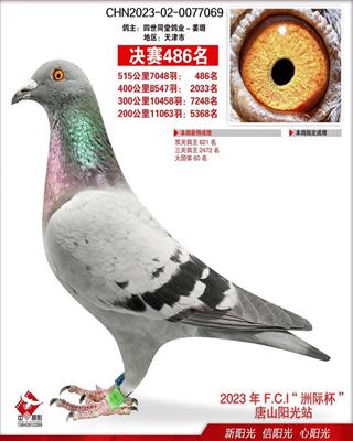 23����ɽ����������486λ