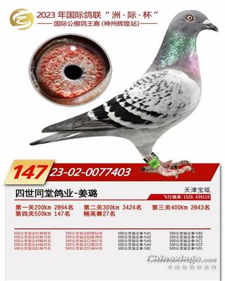 23�������ݻԻ;���147λ��Ӣ��27λ