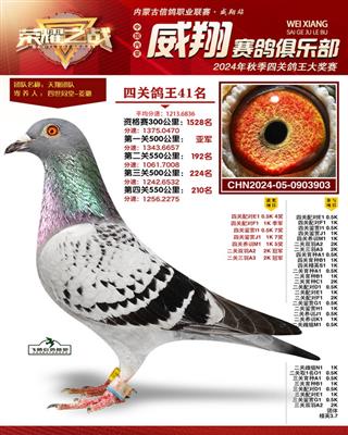 24�����������Ĺظ���41λ�׹��Ǿ�