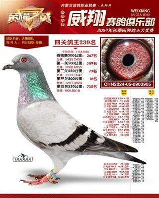 ����������������ظ���33�Ĺظ���239