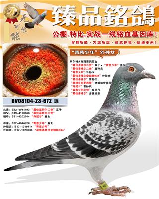 �������׿�˹ԭ�ᡰ������ꡱ����Ů