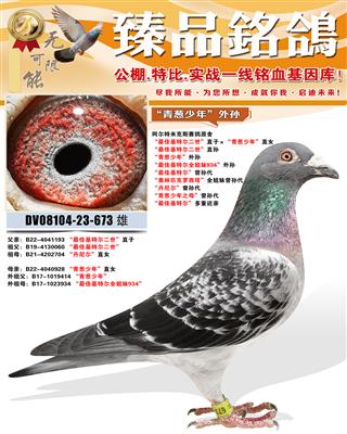 �������׿�˹ԭ�ᡰ������ꡱ����