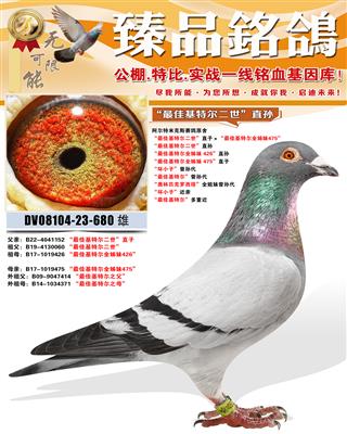 �������׿�˹ԭ�ᡰ��ѻ��ض�������ֱ��