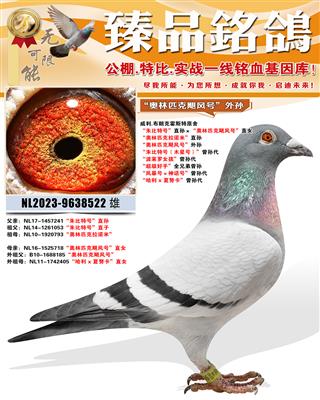 ����.���ʿ˻�˹�ء�����ƥ��쫷�š�����