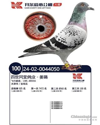 24����ɽ�����������100λ