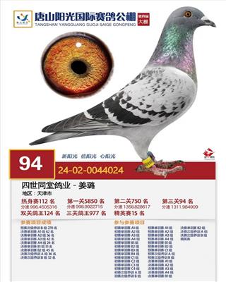 24����ɽ����������94λ��Ӣ��15λ