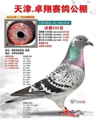 ���׿�蹫�����325λ