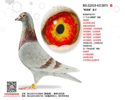 �������塱ֱ��