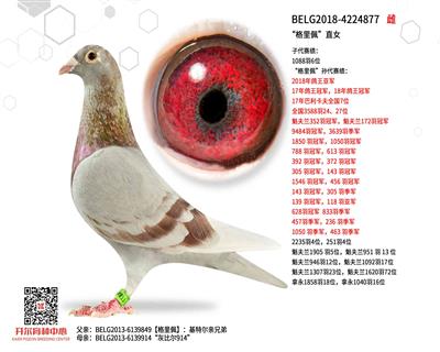 �������塱ֱŮ