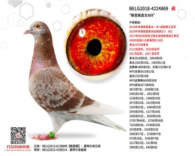 ��������ֱŮ869��