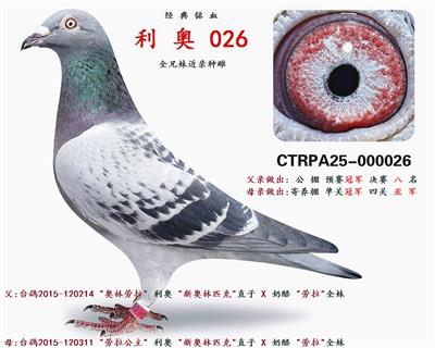 �W��ƥ�� 026