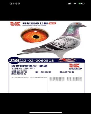 23�괺��ɽ�󿪶�����258λ