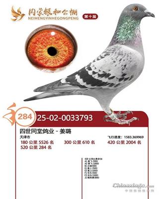 25���������͹������284λ