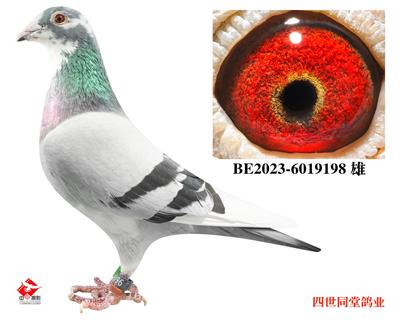 ����޽�̩˹ԭ��198