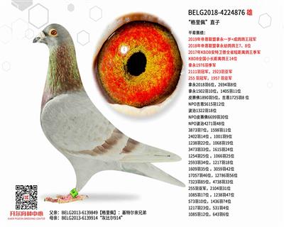 �������塱ֱ��