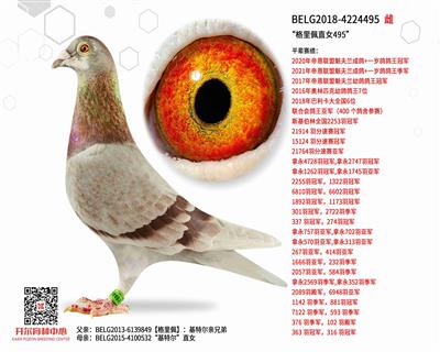 ��������ֱŮ495��