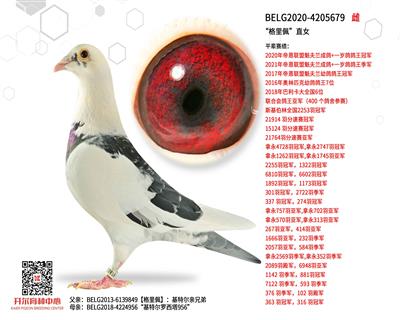 �������塱ֱŮ