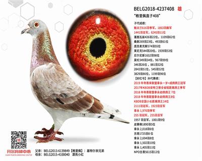 ��������ֱ��408��