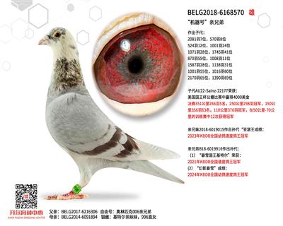 �������š����ֵ�