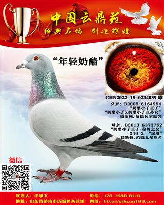 �ƽ�����