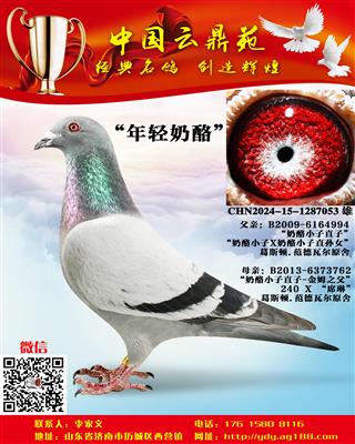 ���� ����