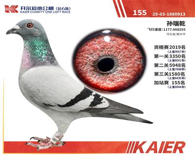 ����155��