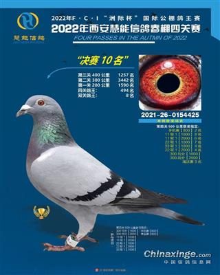 Ѫ�y(t��ng)��