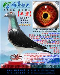 ��ĸ��������