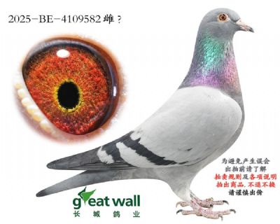 20260127214347910482