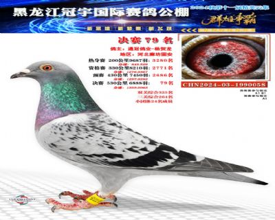 ����������������79��