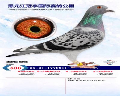 25�������ʴ������536��