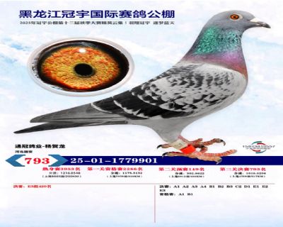 ����������������793��