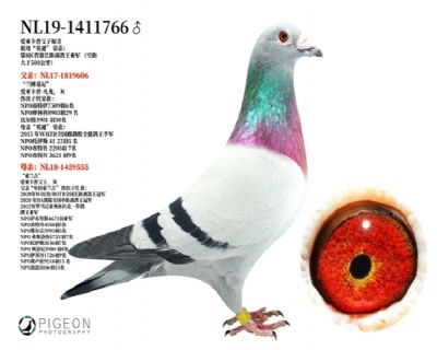 ���ǿ���ԭ��