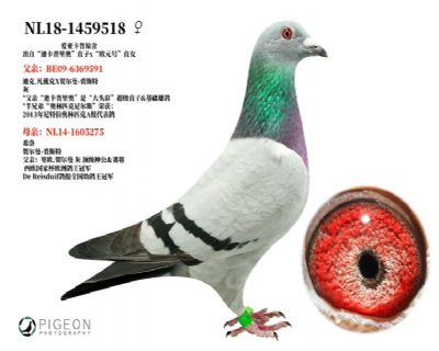 ���ǿ���ԭ��