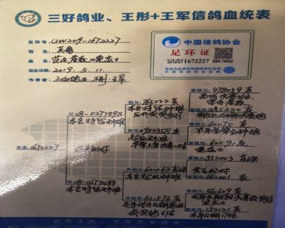 Ѫ�y(t��ng)��