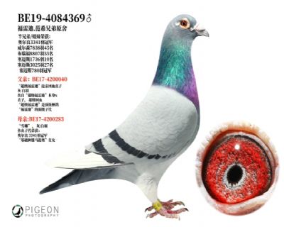 ���׵�.��ϣ�ֵ�ԭ��