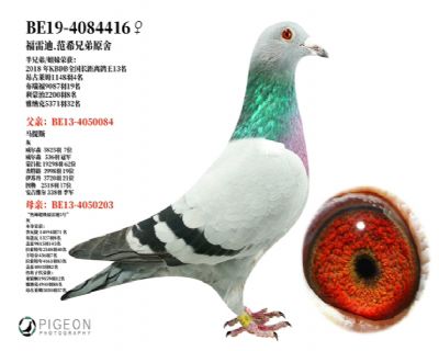 ���׵�.��ϣ�ֵ�ԭ��