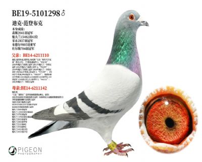 �Ͽ˷��ǲ���