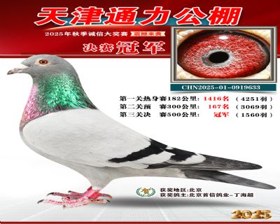 25�����ͨ����������ھ�