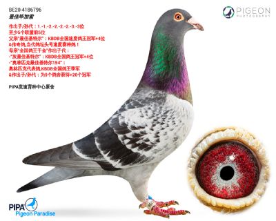 ��ѻ��ض�����ֱ��