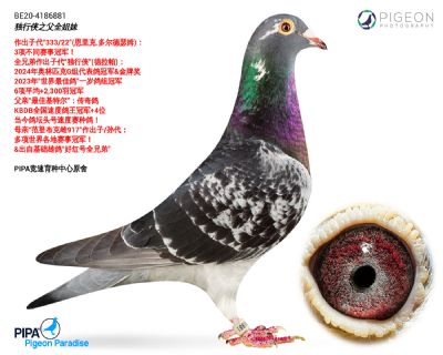 ��ѻ��ض�����ֱŮ