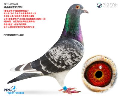 ��ѻ��ض�����������ֱ��