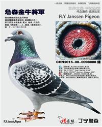 ��ĸ����